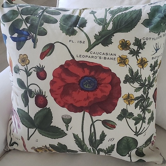 Pottery Barn Accents New Pottery Barn Poppy Botanical Print 24x24